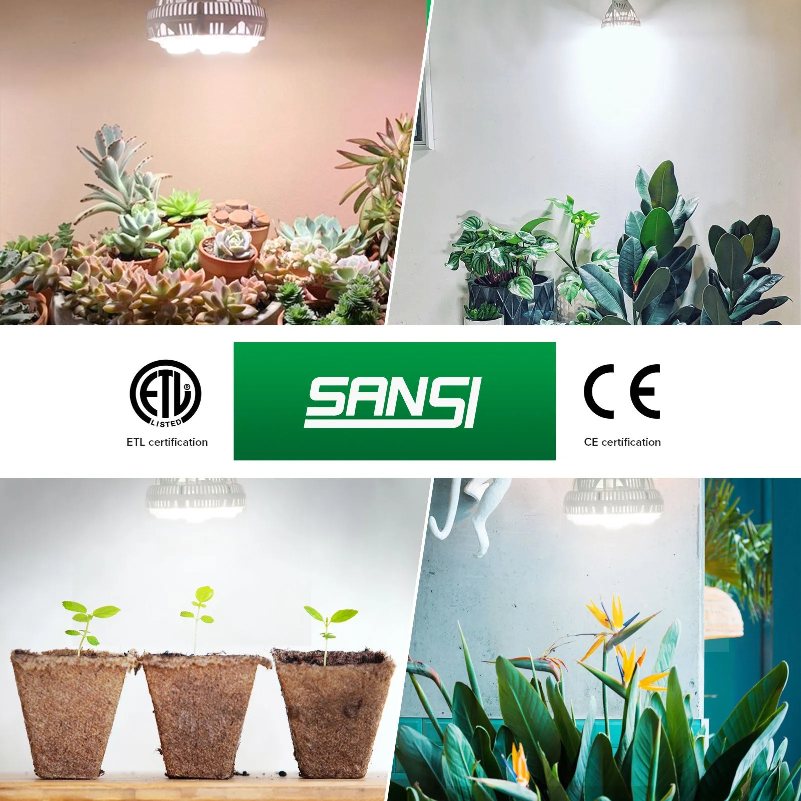 US Smart Light Bulb Grow Light Bulb